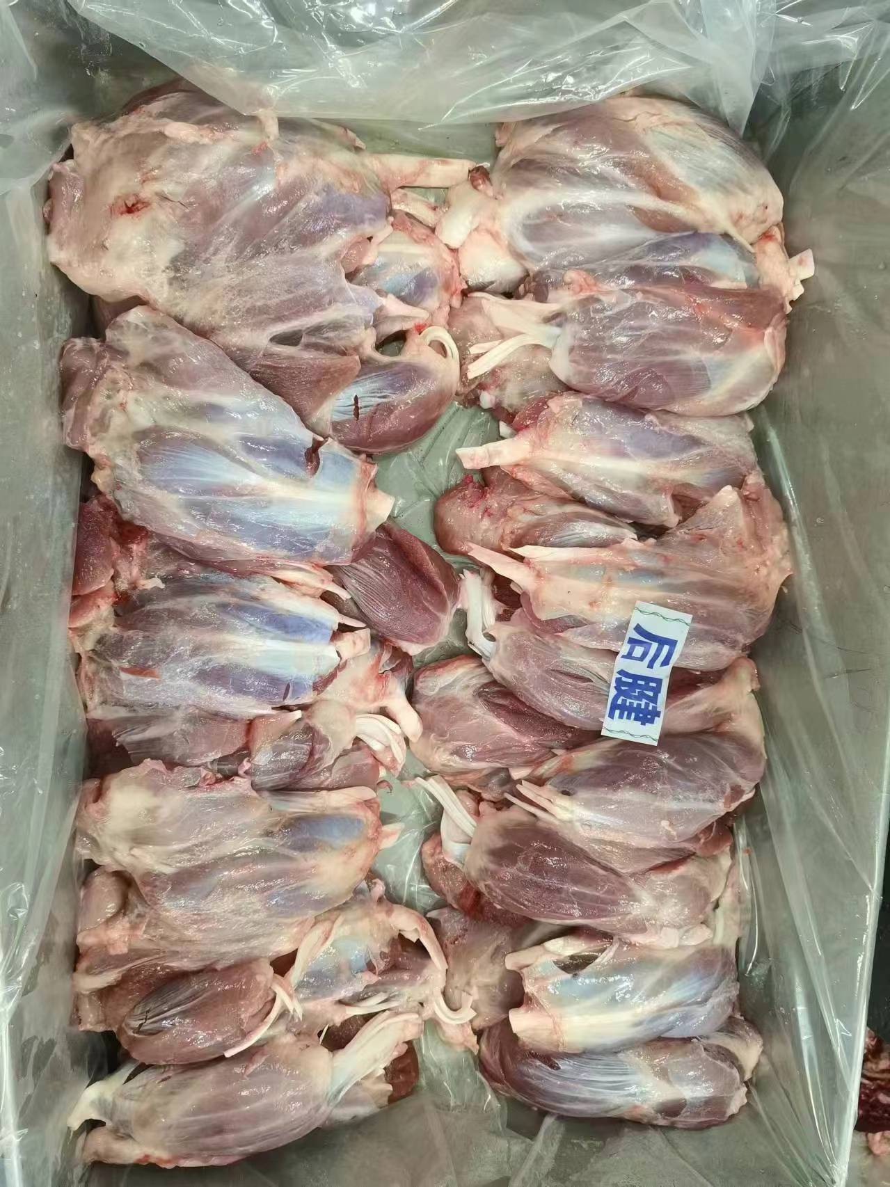 後腱