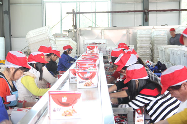 大成(chéng)食品産品裝箱生産線