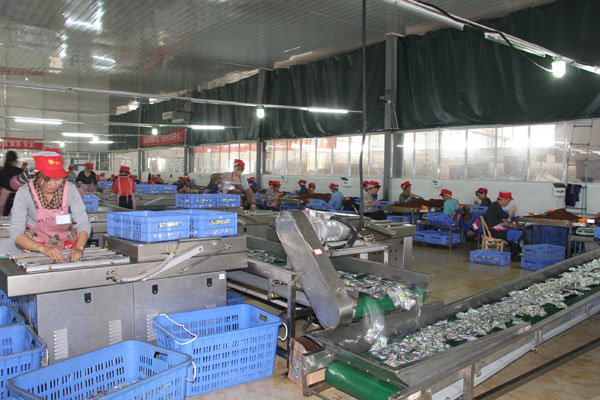 大成(chéng)食品生産線廠區